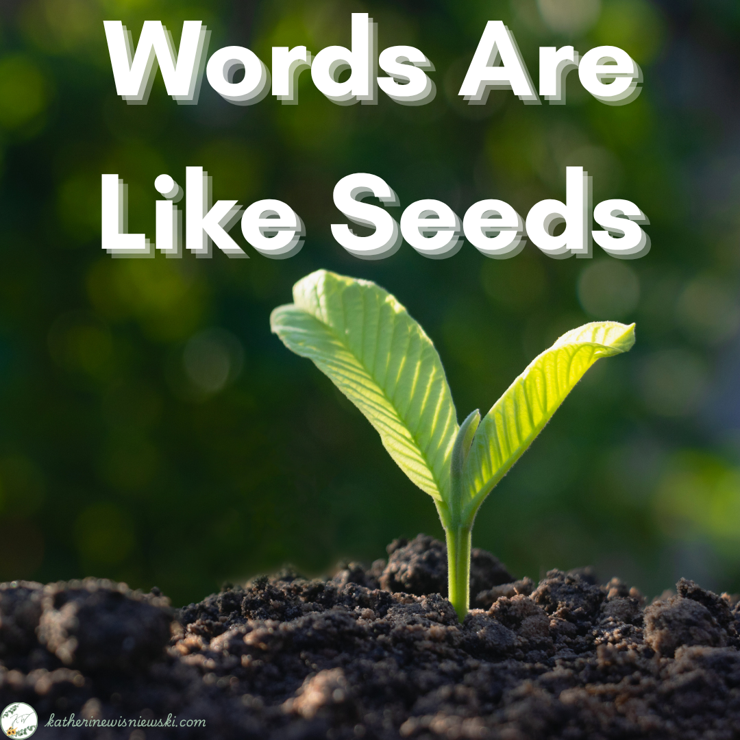 Words Are Like Seeds