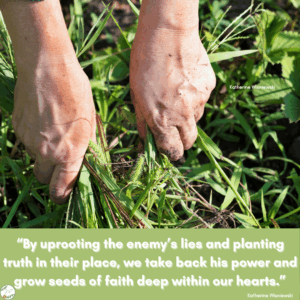 Uprooting the lies