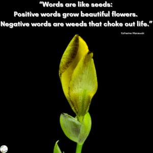 Positive words grow flowers