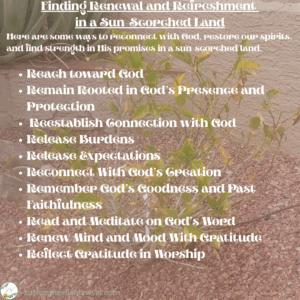 How to Find Renewal and Refreshment in a Sun-Scorched Land