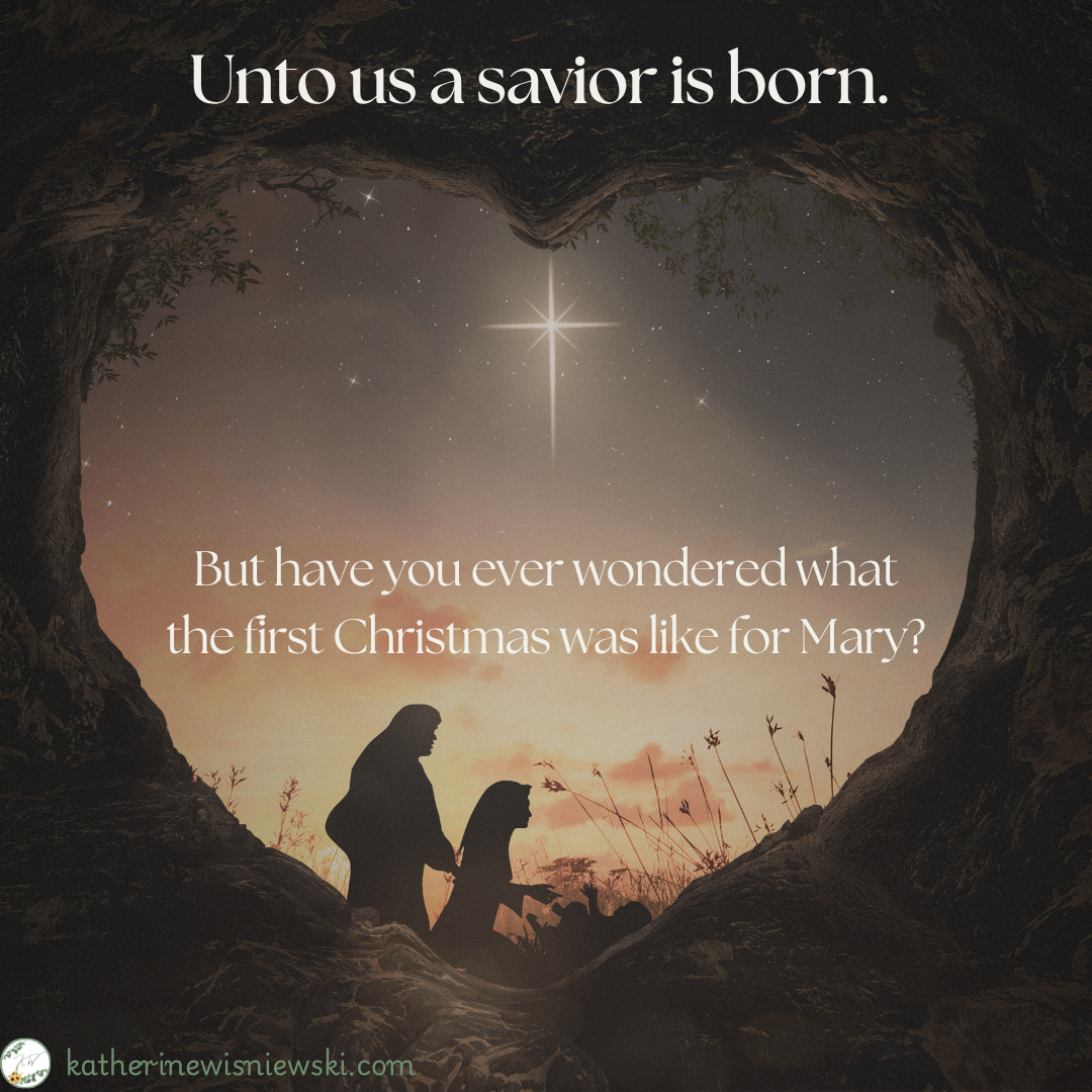 But have you ever wondered what the first Christmas was like for Mary?