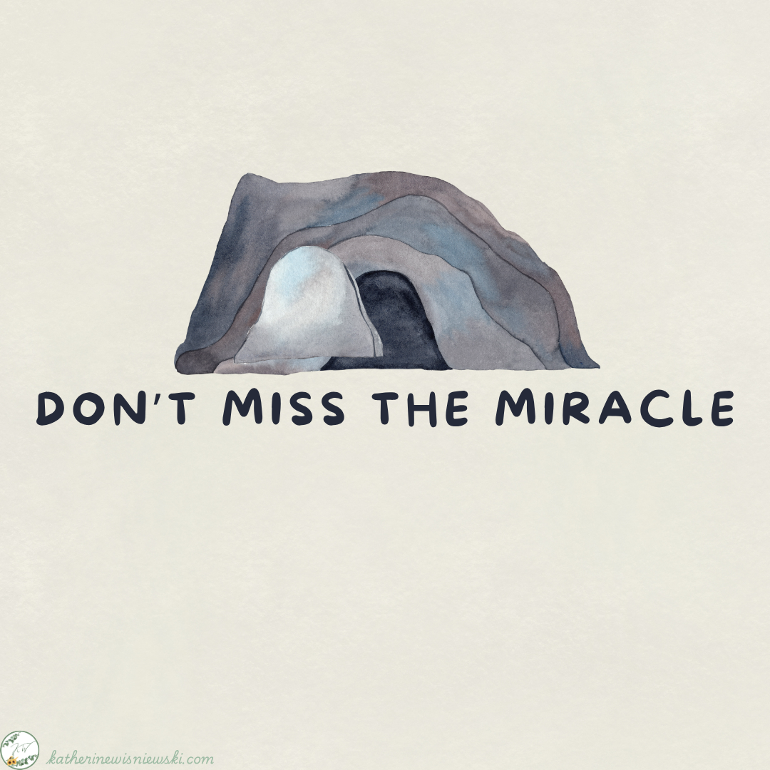 Don't Miss the Miracle