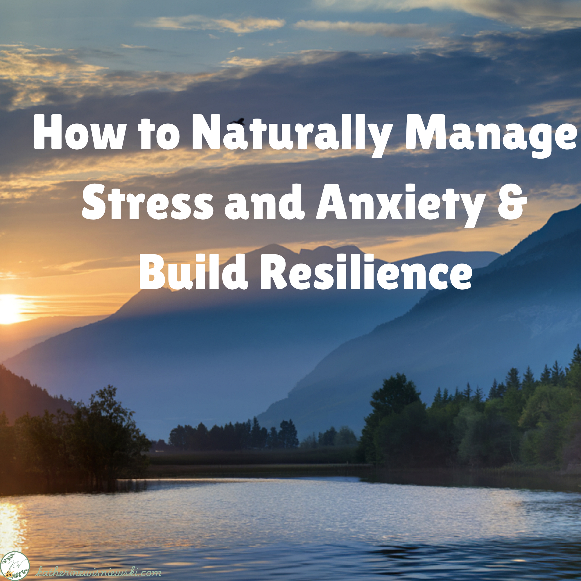 How to Naturally Manage Stress and Anxiety & Build Resilience